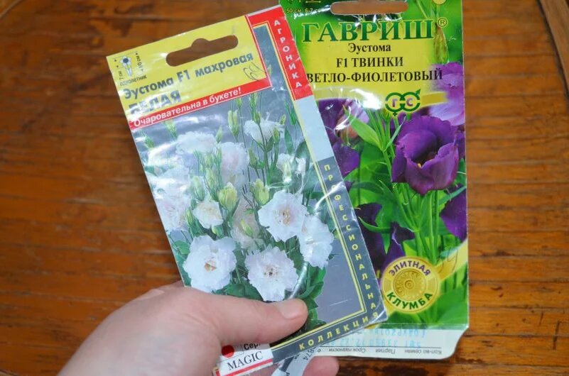 Семена эустомы.