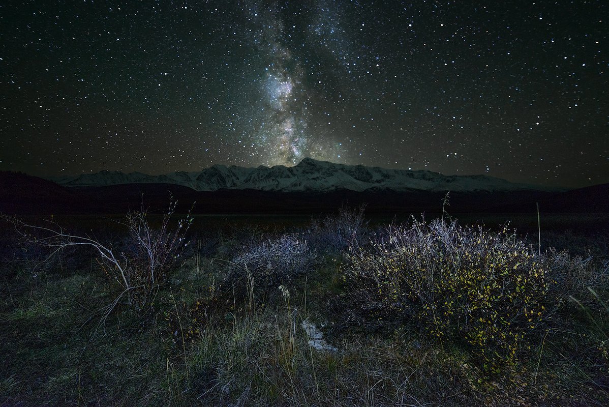 Изображение из открытых источников