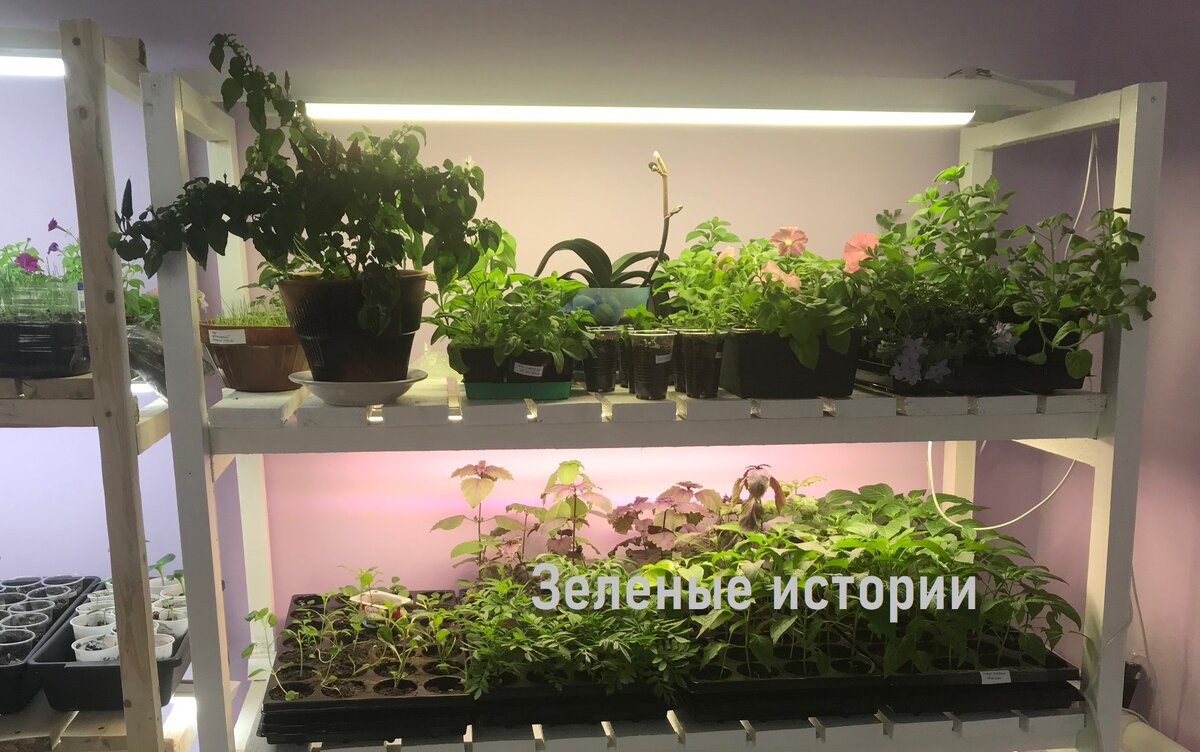 Иногда наше хобби обходится слишком дорого для здоровья