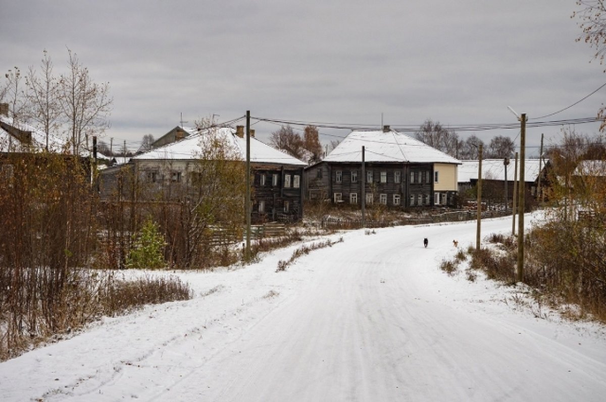    Гигабитная сеть появилась в карельском селе Великая Губа