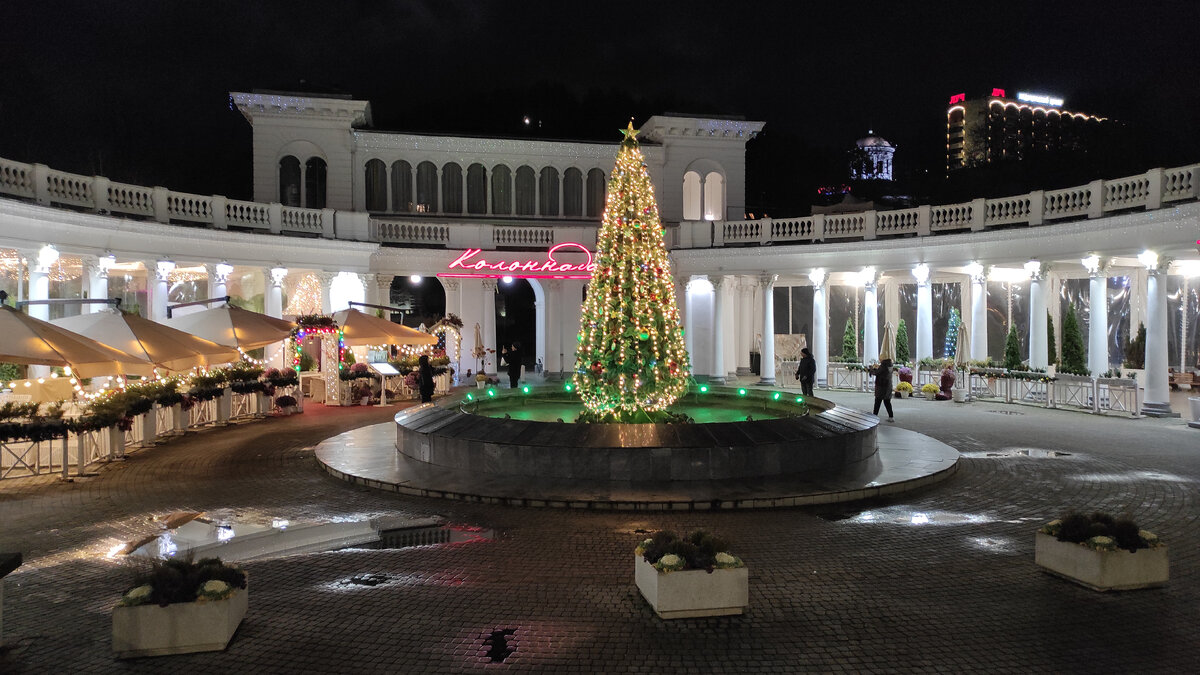 Новогодняя ёлка в ноябре в Кисловодске. Фото: Кирилл Полиенко/Polienko: путешествуем вдвоём