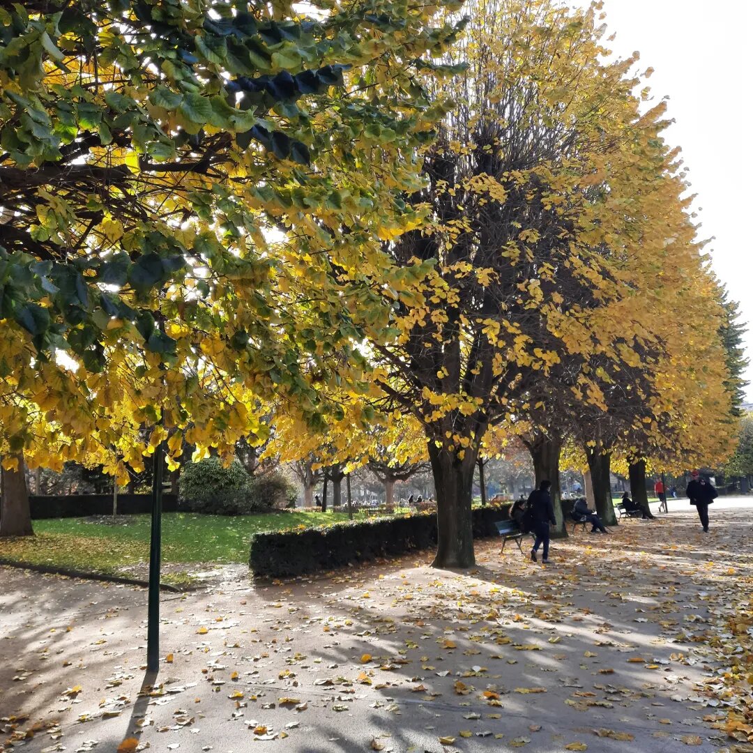 Парижский ноябрь. Фото автора