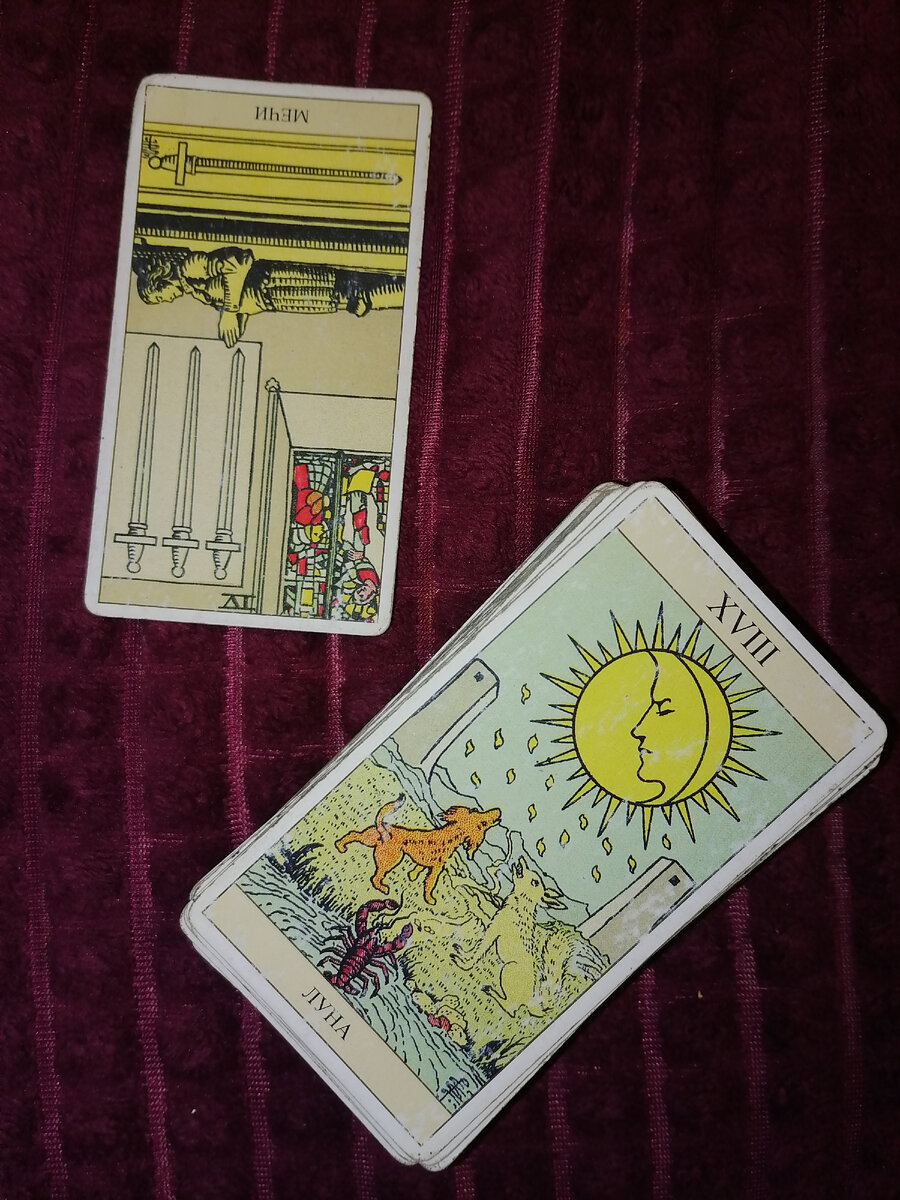 Фото автора.