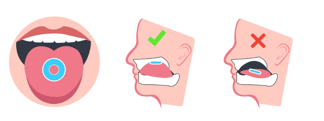 Правильное положение языка во время мьюинга