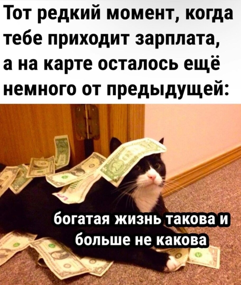 Требуемые знания