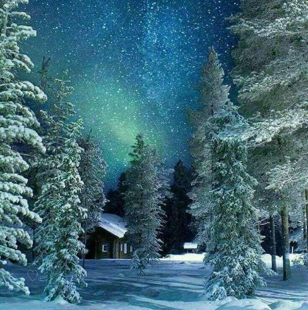 Источник: Яндекс. Картинки