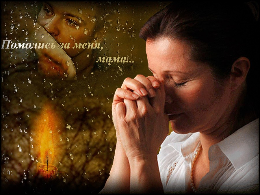 Фото Яндекс картинки.