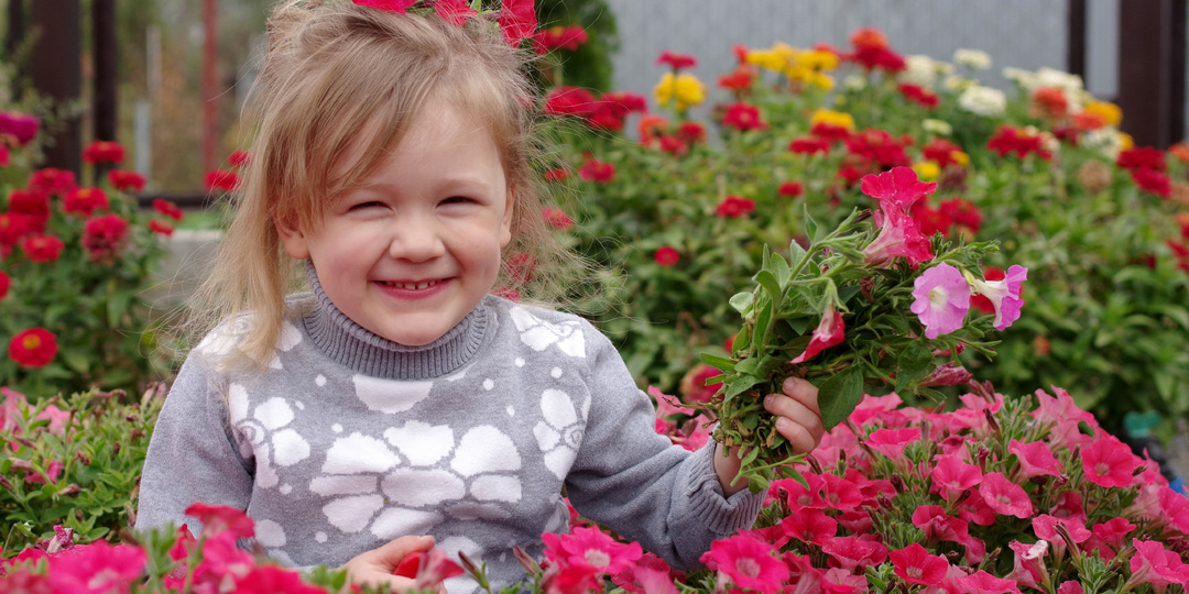 🌺Эти петунии цветут как сумасшедшие