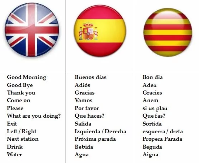 Каталанский язык. Испанский и каталонский язык. Испанский Каталанский язык. Каталанский язык и испанский отличия. Итальянская латынь