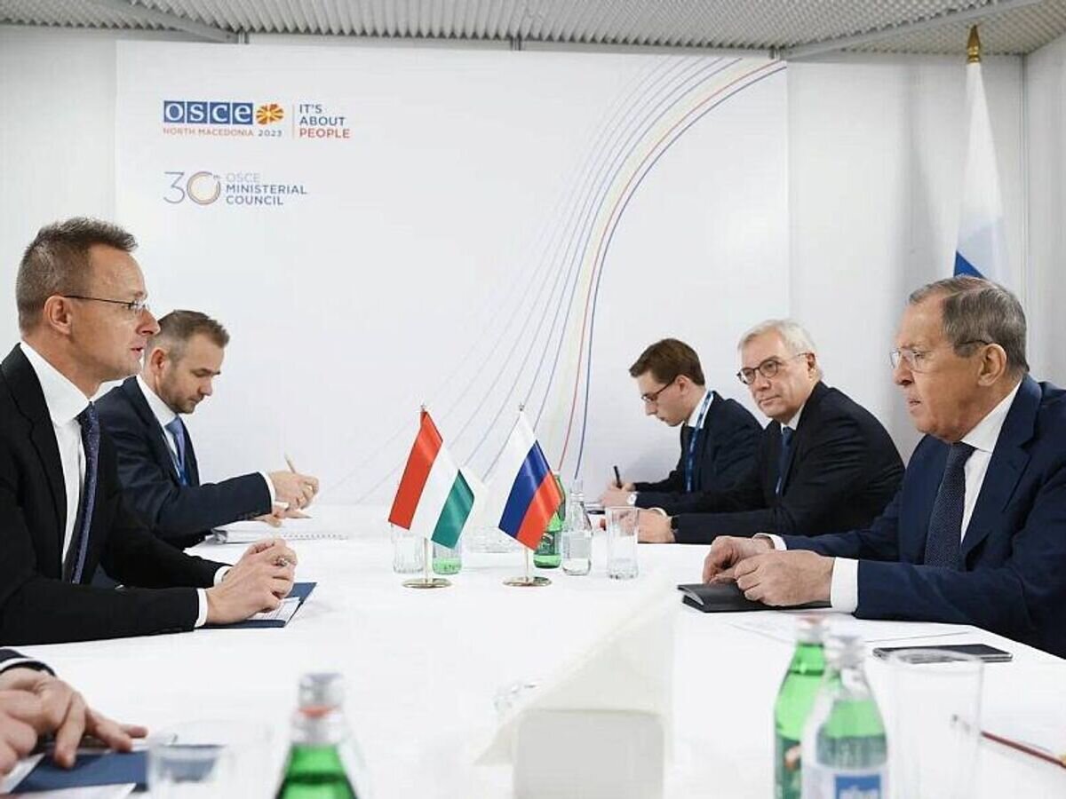    В Скопье состоялась встреча Министра иностранных дел Российской Федерации Сергея Лаврова с Министром внешнеэкономических связей и иностранных дел Венгрии Петером Сиярто© РИА Новости / МИД РФ