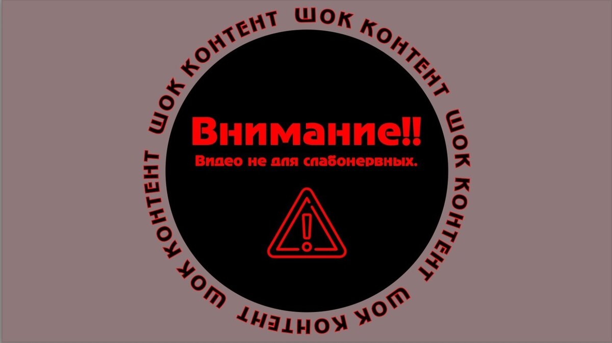 В карусели скриншот из видео в группе huskyekb, видео не для слабонервных