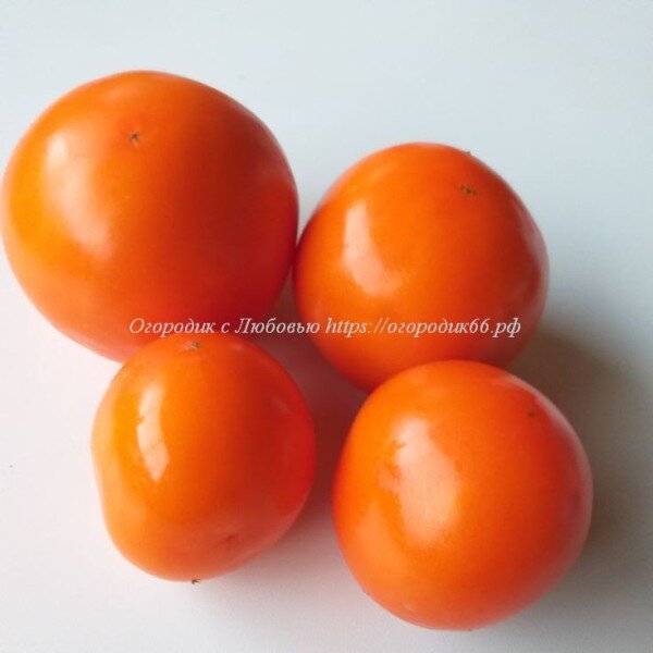  Mandarin cross