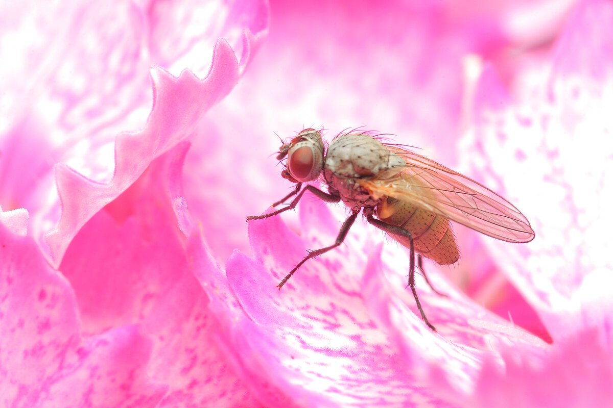 фото Н. Муравьевой