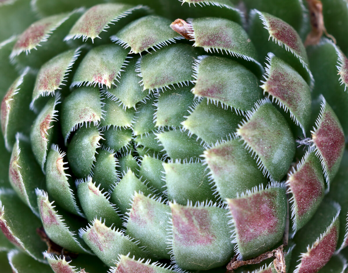 фото Н.Муравьевой