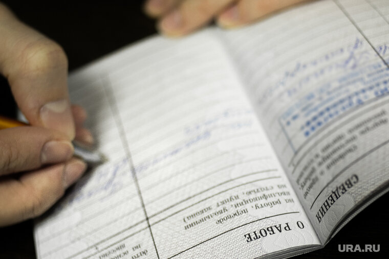    Обновленный закон «О занятости» коснется участников СВО и молодежи, которая не может найти работу