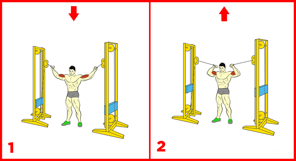 4 Упражнения на бицепс, которые нужно попробовать... | PAVEL SMIRNOV | Дзен