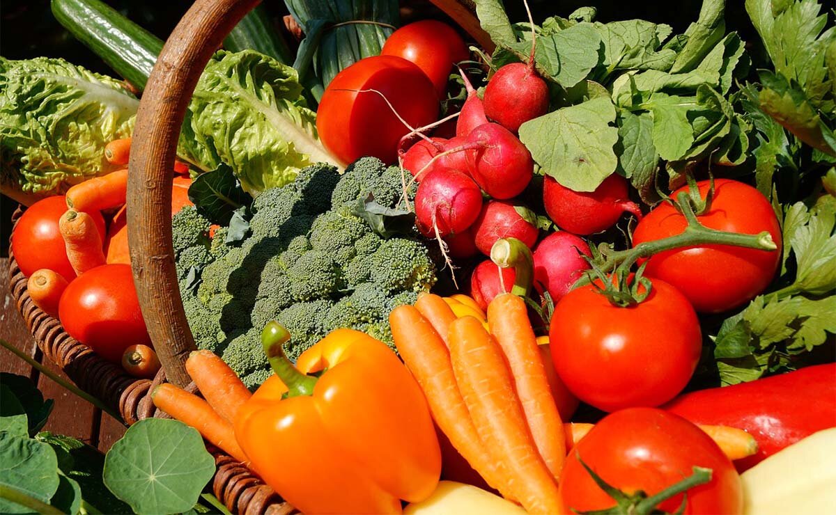 Фото: pixabay.com