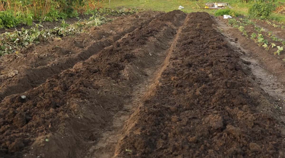 Фото: Дмитрий Кастрицкий