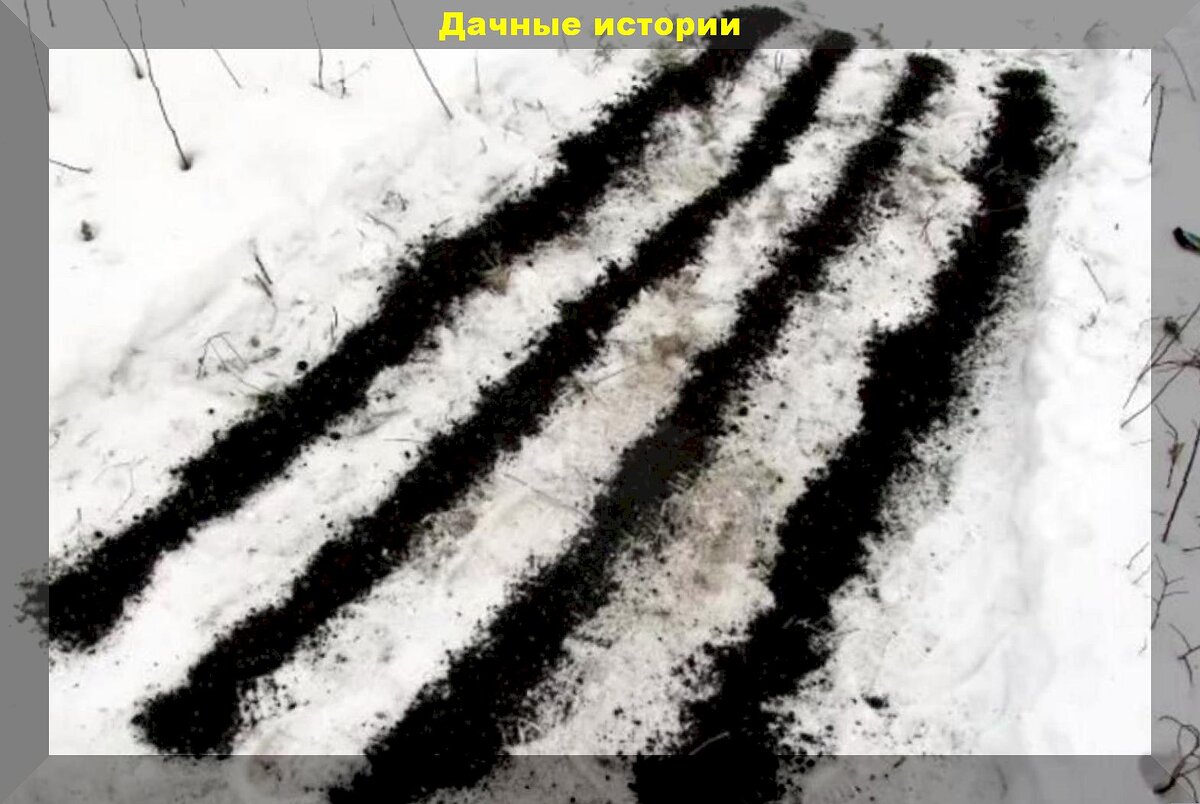 https://vk.com/photo-159774511_457262887