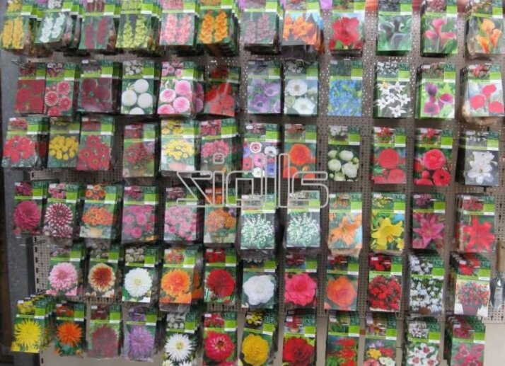 Скриншот Яндекс картинки