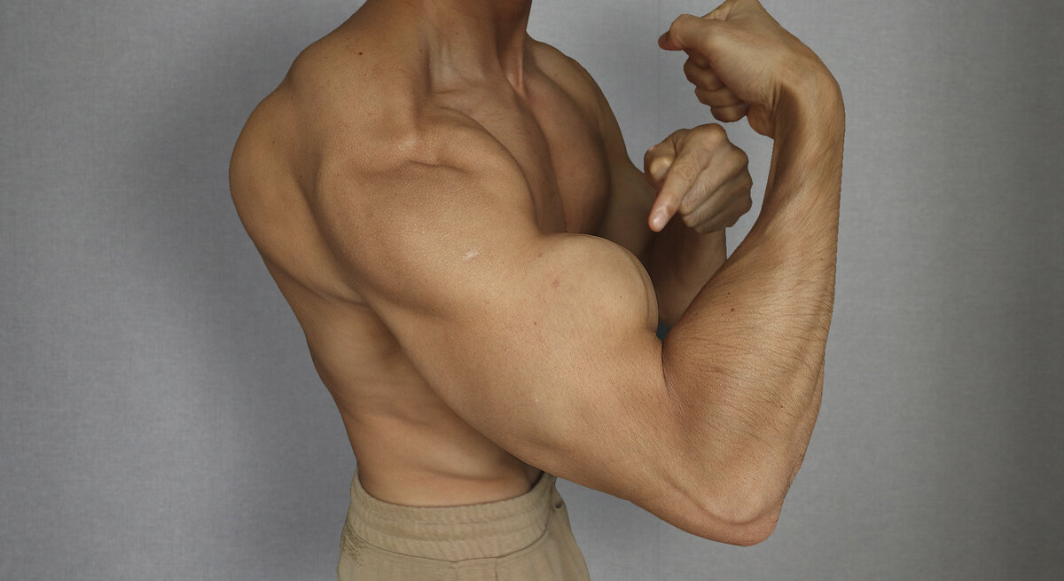 как сделать упражнение 206. поза планка. упражнение 206 ответ какие какой ответ. мостик упражнение для спины. поза планка.