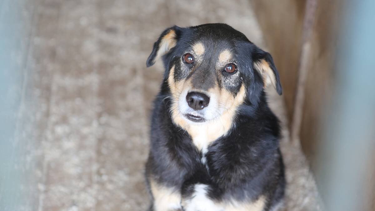   Фото: Наталья Шатохина / Вечерняя Москва