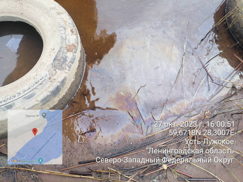 Фото: telegram.org / RPN_SZFO