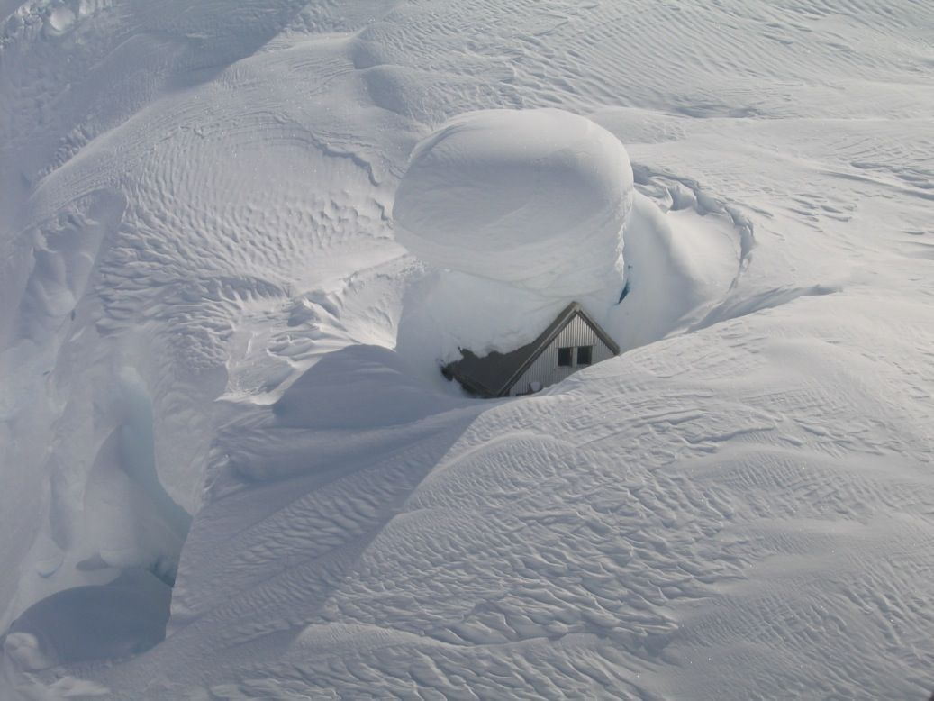 Кажется, такой снегопад доставляет проблемы не только зверью.