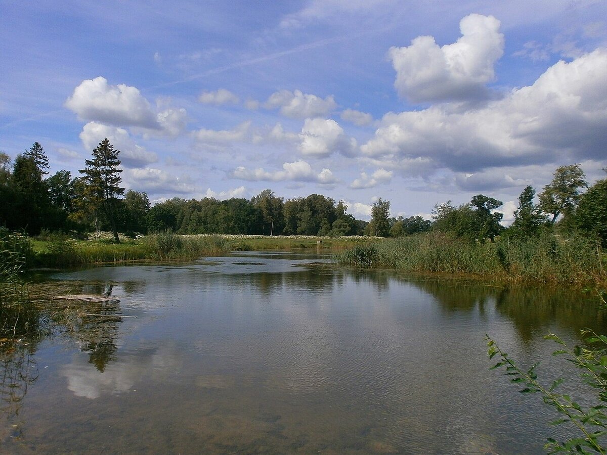 Источник: wikipedia.org Автор: Uz1awa CC BY-SA 4.0  