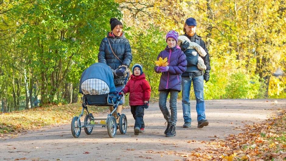 Семья гуляет в парке картинки