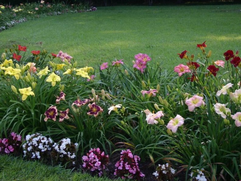 Яндекс картинки