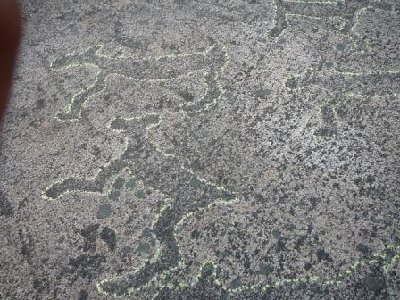 Петроглифы под Беломорском