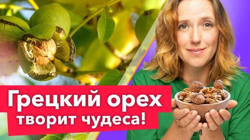 Самый полезный орех! Уникальные свойства и секреты выращивания грецкого ореха