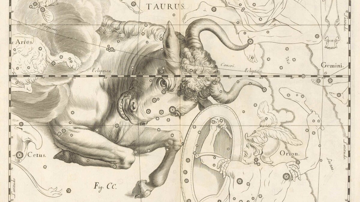 Телец. Уранография - Атлас звёздного неба Яна Гевелия. Издан в 1690 году. Фото в свободном доступе.
