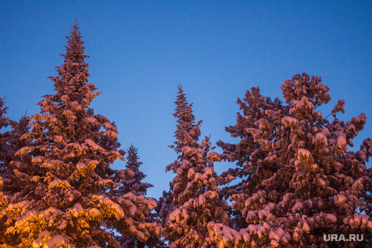    Новая застройка не заденет природный парк