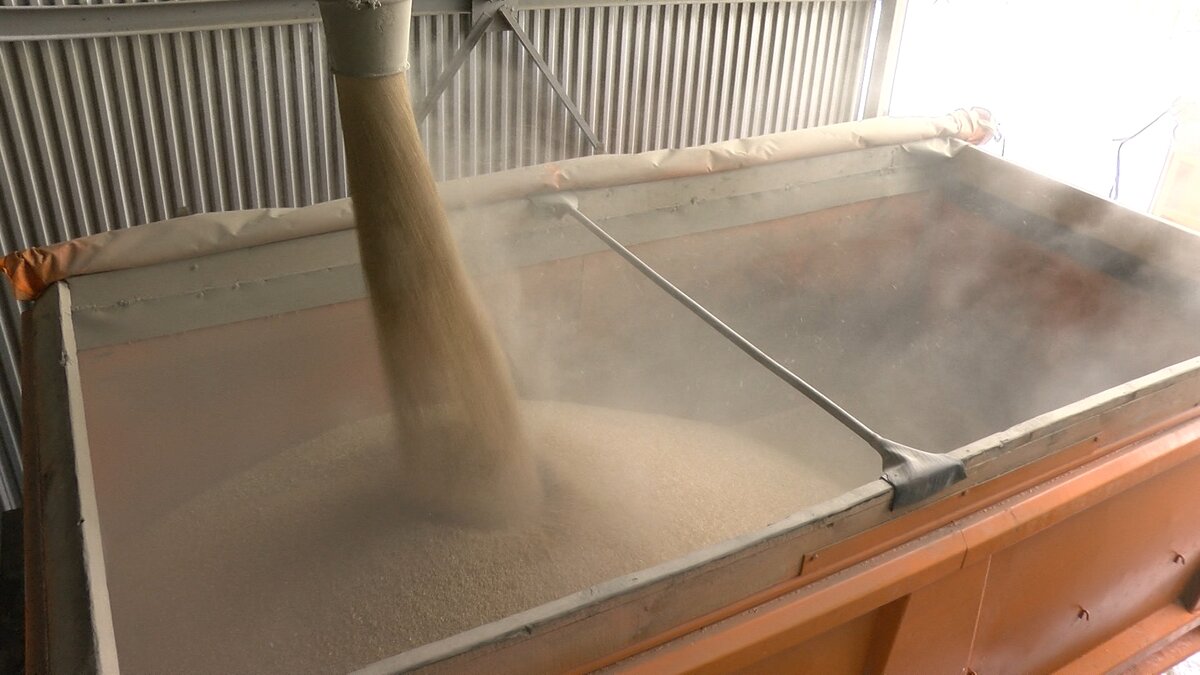    Обратная сторона рекордного урожая в Ивановской области