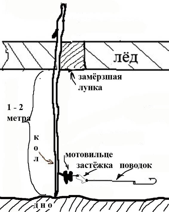 На что ловят налима зимой на жерлицы