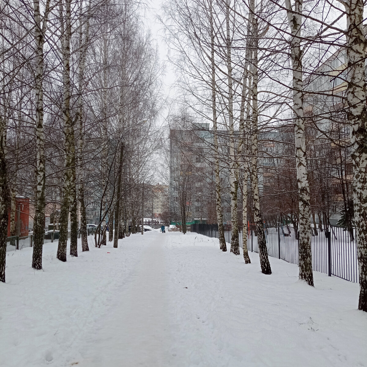Ноябрь в городе