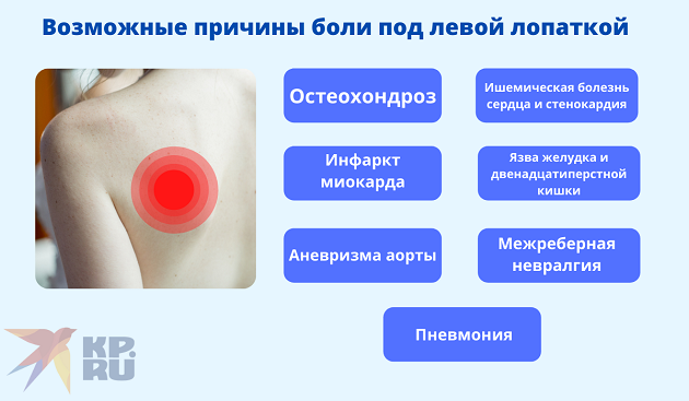 Боль в левой лопатке форум. Ноет сердце и отдает в левую лопатку. Боль под грудью. Почему болит под лопаткой. Почему болит под левой лопаткой.