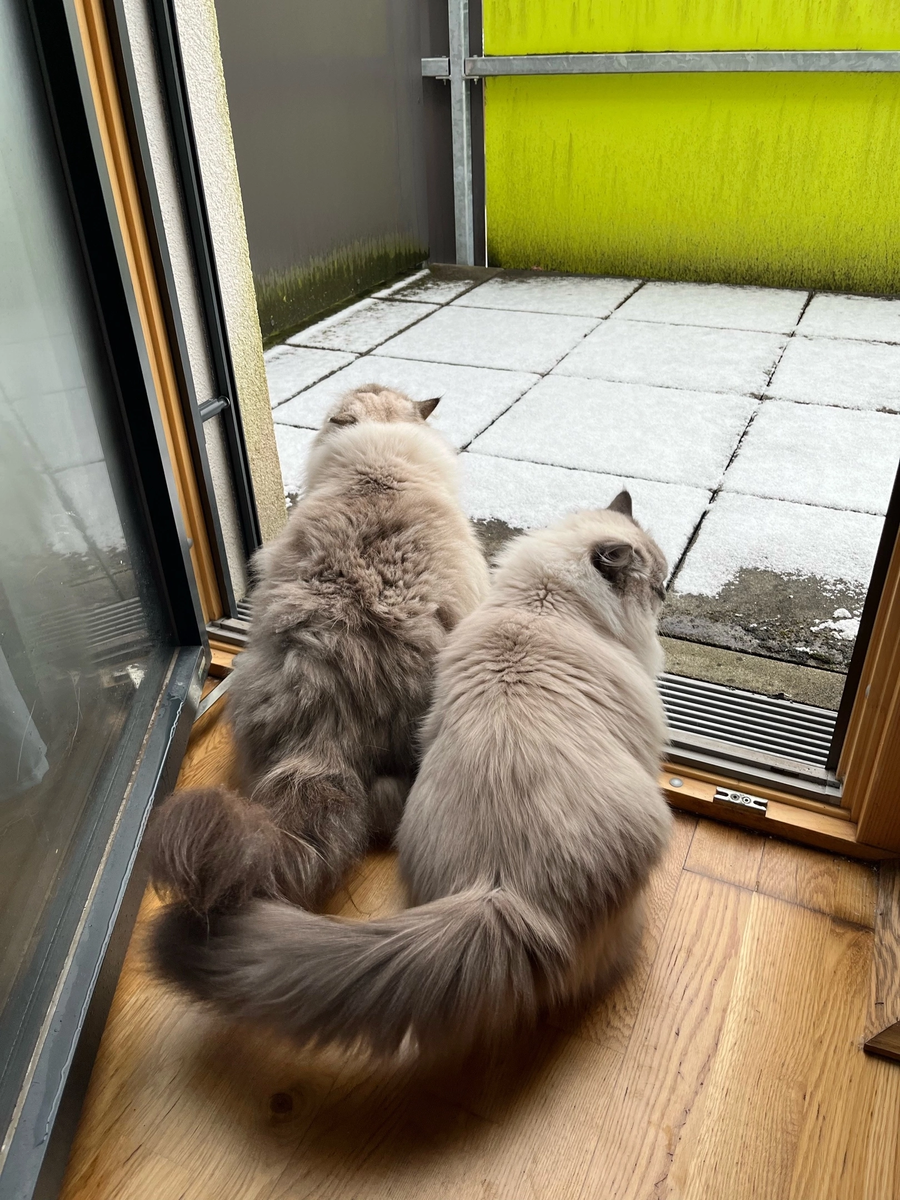 Катюша и Маруся. Фото Маттиаса