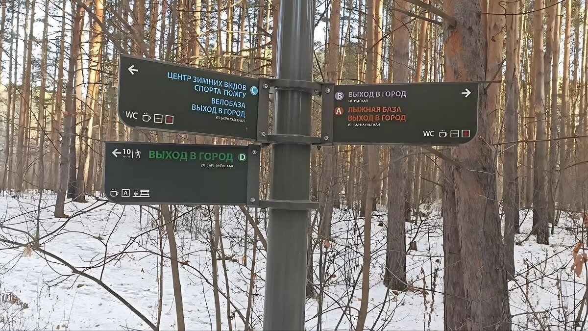     Дайджест событий за 30 ноября в Тюменской области.