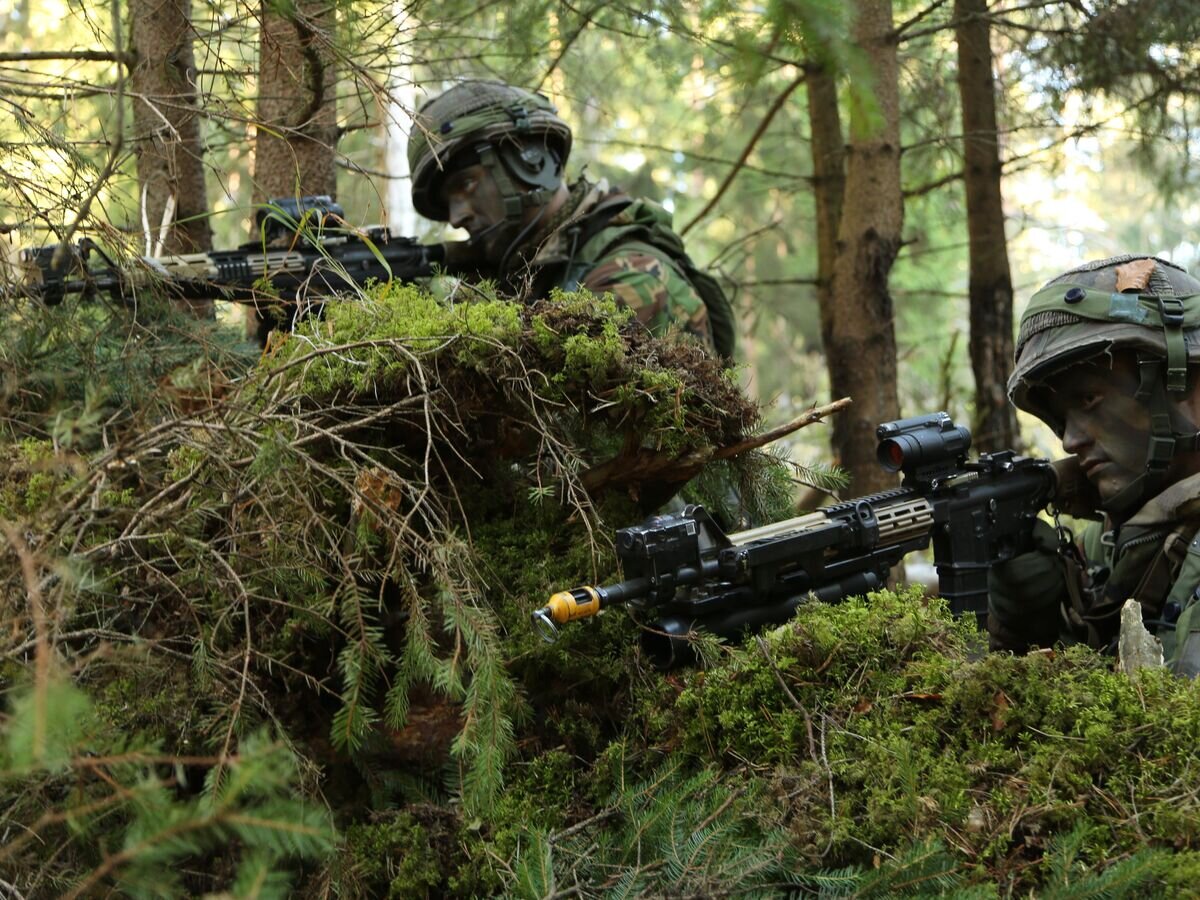    Военнослужащие армии Нидерландов во время учений© Фото : U.S. / Spc. John Cress Jr.