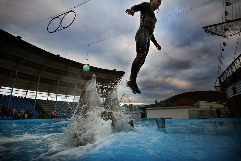 Автор фото Добрый Человек© Из фотоистории о передвижном дельфинарии.