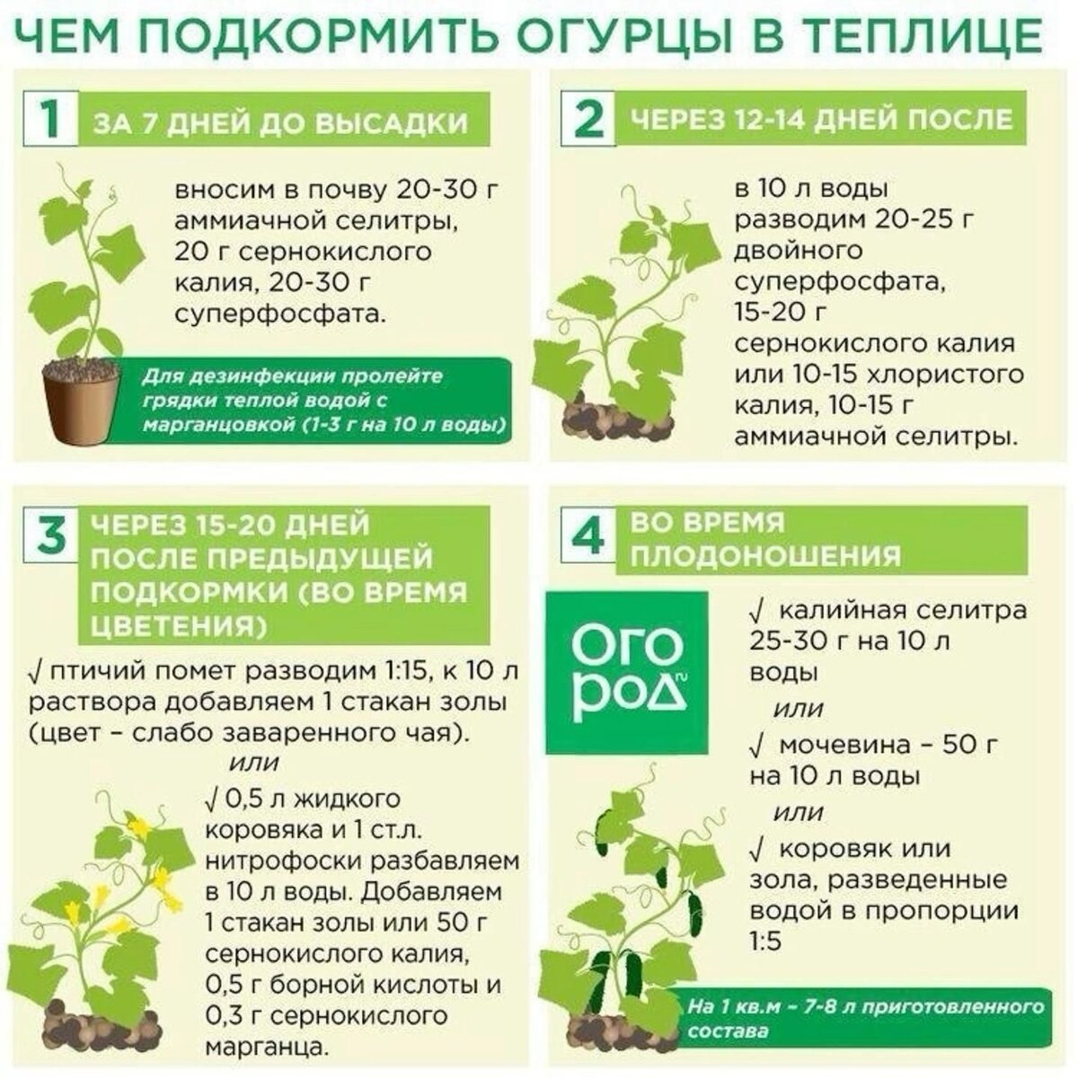 Фото открытых источников