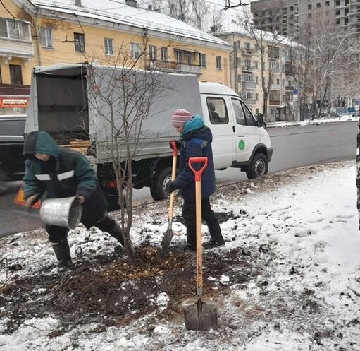 фото из сети В контакте: работа сотрудниц Дирекции благоустройства гор. Кирова