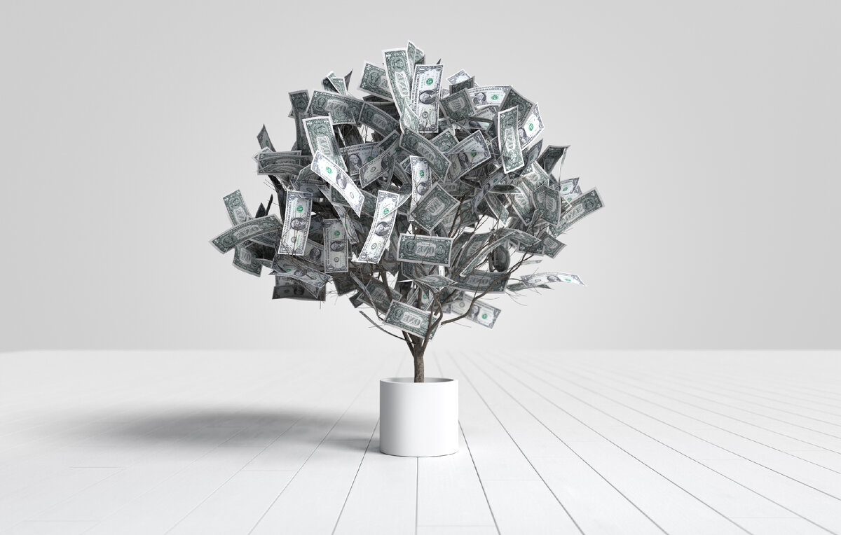 <a href="https://www.freepik.com/free-photo/dollar-banknotes-tree-growing-white-pot_67681853.htm">Image by user6702303</a> on Freepik                                           #бюджетирование #экономия #личныерасходы #финансовоепланирование #инвестиции #долги #финансоваясвобода #финансовыйсоветник #источникидохода #кредиты #приоритеты #финансоваяамбиции #финансовыйучет #планированиепенсии #страхование #расходы #финансоваястабильность #образование #расчеты #финансовые #личныеденьги #управлениедоходами #управлениерасходами #бюджетирование #экономия #аварийныйфонд #финансовоепланирование #инвестиции #долги #финансовыечели #финансовыйсоветник #дополнительныйисточникдохода #финансоваясвобода #кредиты #поставитьприоритеты #финансовыйуспех #учетфинансов #планированиепенсии #страхование #расточительныетраты #образование #профессиональныйрост #личныефинансы #финансоваястабильность #благополучие