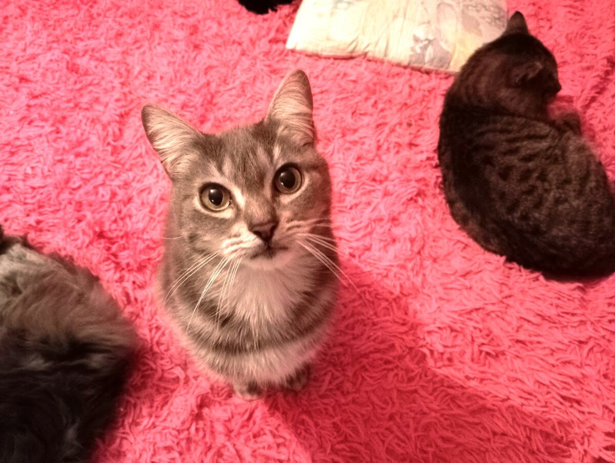 Тиану. Фото из домашнего архива