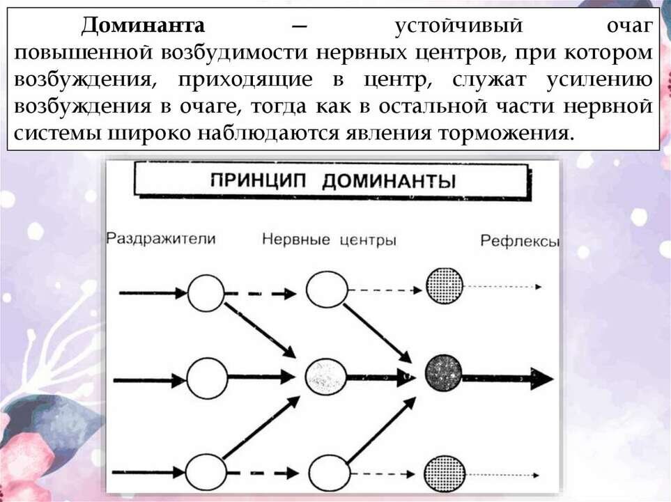 Доминанта идеи. Принцип доминанты ухтомского. Принцип доминанты в композиции. Доминанта в композиции. Ухтомский а.