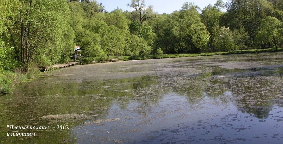 Рожайка у плотины д.о. Лесные поляны