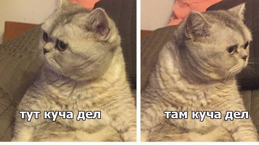 источник Яндекс-картинки